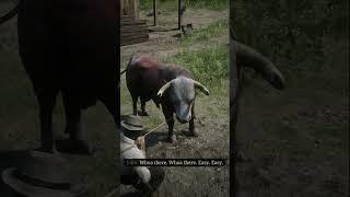 JINAKIN BANTENG NGAMUK  #short #shorts #reddeadredemtion2 #rdr2 #banteng