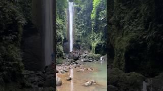 I would travel again and again to see this.  #travelph #waterfalls