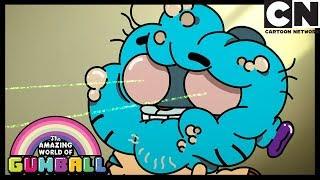 Gumball  Seriously Whats Inside That Box?  The Box  Cartoon Network