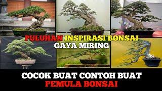 kumpulan INSPIRASI BONSAI GAYA MIRING 2022#bonsai #kontesbonsai