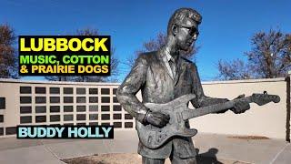 LUBBOCK Texas Music Cotton & Prairie Dogs