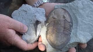 906 Outdoors - Searching for U.P. Fossils with Paleo Joe.  Summer Smallmouth with Mike Mladenik.