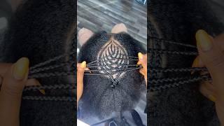 Men freestyle Braids 