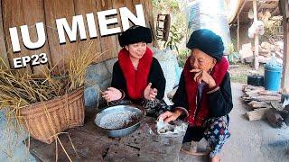 Iu Mien Lifestyle EP.23 - Traditional Iu Mien Sweet fermented rice