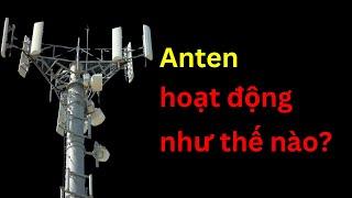 Anten hoạt động như thế nào?  Tri thức nhân loại