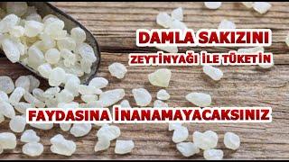 DAMLA SAKIZINI ZEYTİNYAĞI İLE TÜKETİN FAYDASINI DUYUNCA ŞAŞIRACAKSINIZ.