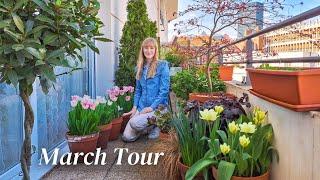 March Container Garden Tour