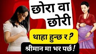 गर्भमा छोरा वा छोरी थाहा हुन्छ र ? Episode 42  Nepalese Doctor  Husband