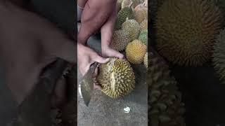 Montong Jawa khas Kampung Durian Desa Gempolan Karanganyar