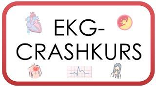 EKG Crashkurs - Auswerten in unter 10 Minuten AV-Block Vorhofflimmern STEMI Perikarditis