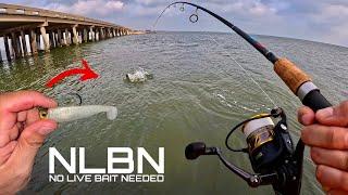Fishing for Speckled Trout with NLBN Lures