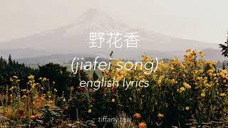 jiafei song lyrics 野花香  english translation