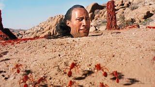 The Rock vs. Hormigas de fuego  El Rey Escorpión  Clip en Español