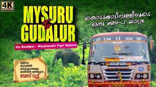 Mysore - Gudalur Bus Trip Via Bandipur - Mudumalai Tiger Reserve  കൊടുങ്കാട്ടിനുളളിലൂടെ ബസ് യാത്ര