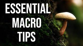 Essential macro tips I wish Id known earlier
