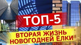 ТОП-5 идей что делать с ёлкой после Нового года