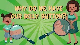 Why do we have our belly button?  Educational Videos For Kids