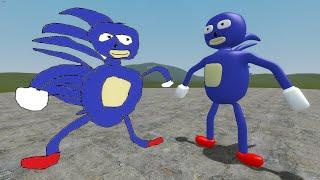 2D Sonic vs 3D Sonic Memes in Garrys Mod Sanic Clones Memes