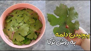 آموزش پیچیدن دلمه برگ مو  Wrapping the leaves of a vine