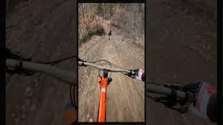 whip it - evo bike park 2022