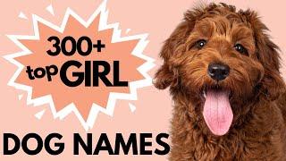 300+ Unique Female Dog Names  Girl Dog Names