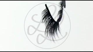 Posh Lashes