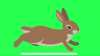 Rabbit Animation Green Screen  Chroma Key  Sky Fx