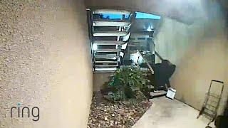 Rings Video Doorbell Two-Way Talk Helped keep This Stranger From Leaving With a Package  RingTV