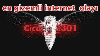 Cicade 3301 İnternet Tarihinin En Gizemli Ve Korkunç Olayı