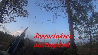 Sorsastuksen aloituspäivä Waterfowl Season Opening day 2019 Jakso 5