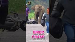 Biker Chase.