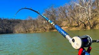 Anchor Fishing A Remote River For December Catfish catch & cook