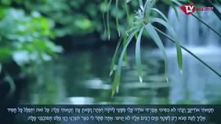 התיקון הכללי השלם - ארז יחיאל & קליפ נופים עולמי + כתוביות - Hebrew Subtitles