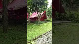 Tipe Glamping Superior  The Forest Cisarua