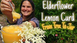 Elderflower Lemon Curd From Tree To Jar 
