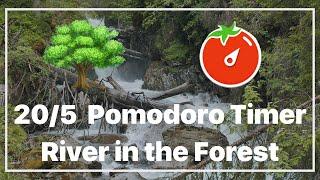 205 Pomodoro Timer  River in the Forest  Ambience Nature Sounds