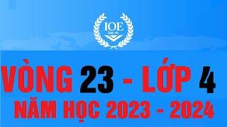 Đáp án IOE lớp 4 vòng 23 năm học 2023 - 2024