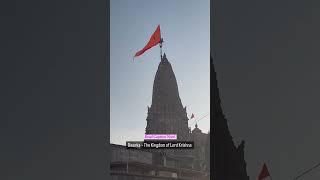 Sri Dwarka Dham Vlog is going to blow your minds  #GKD