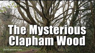 The Clapham Wood Exploration