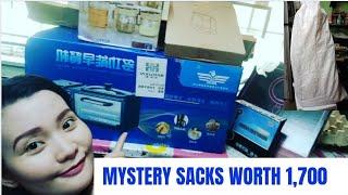 MYSTERY SACKS  WORTH 1700