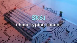 SK61 1 Hour Keyboard Typing Sounds ASMR No talking No music No mid-roll ads