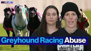 Allegations of Widespread Animal Abuse in Greyhound Industry