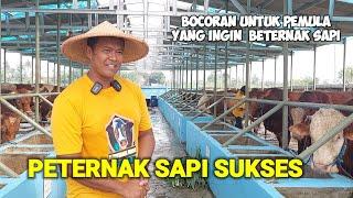 PETERNAK SAPI SUKSES ‼️ INGIN MULAI TERNAK SIMAK VIDEO INI JANGAN SAMPAI RUGI SALAH LANGKAH