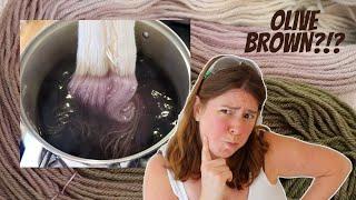 Dyepot Weekly #418 - Dip Dyeing to Break Dharmas Olive Brown Acid Dye on Yarn