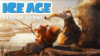 ICE AGE  BEST OF SCRAT Multi Clip NEW 2022 Included