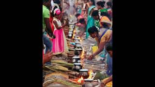 pongalo Pongal #kabikaran#pongal whatsapp status in tamil