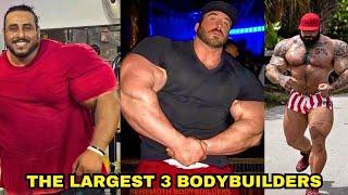 Meet The 3 Biggest Bodybuilders In The World.