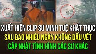 Video mới nhất Sư Minh Tuệ đi khất thực trở lại Sư Minh Trí & Đức Hạ không mặc Y Phấn tảo