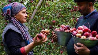  Homemade Apple Pavidlo A Sweet Village Recipe 