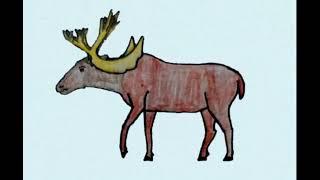 Cervalces Scotti Stag Moose sound effects